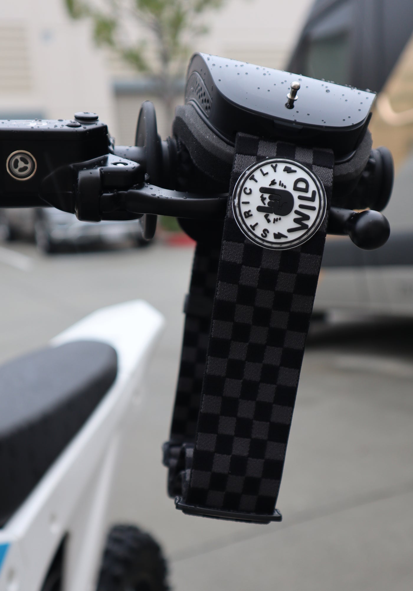 Youth Strictly Wild Black Checkers